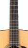 Neck